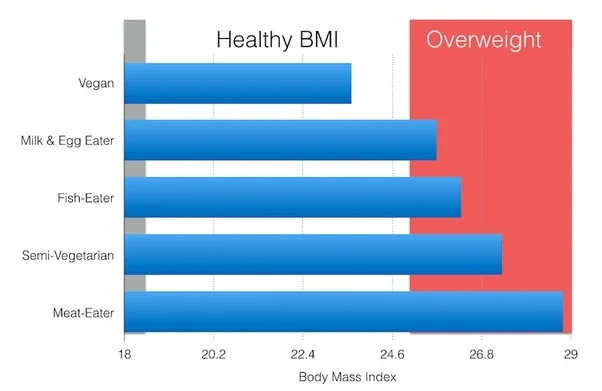 Body mass index IMG