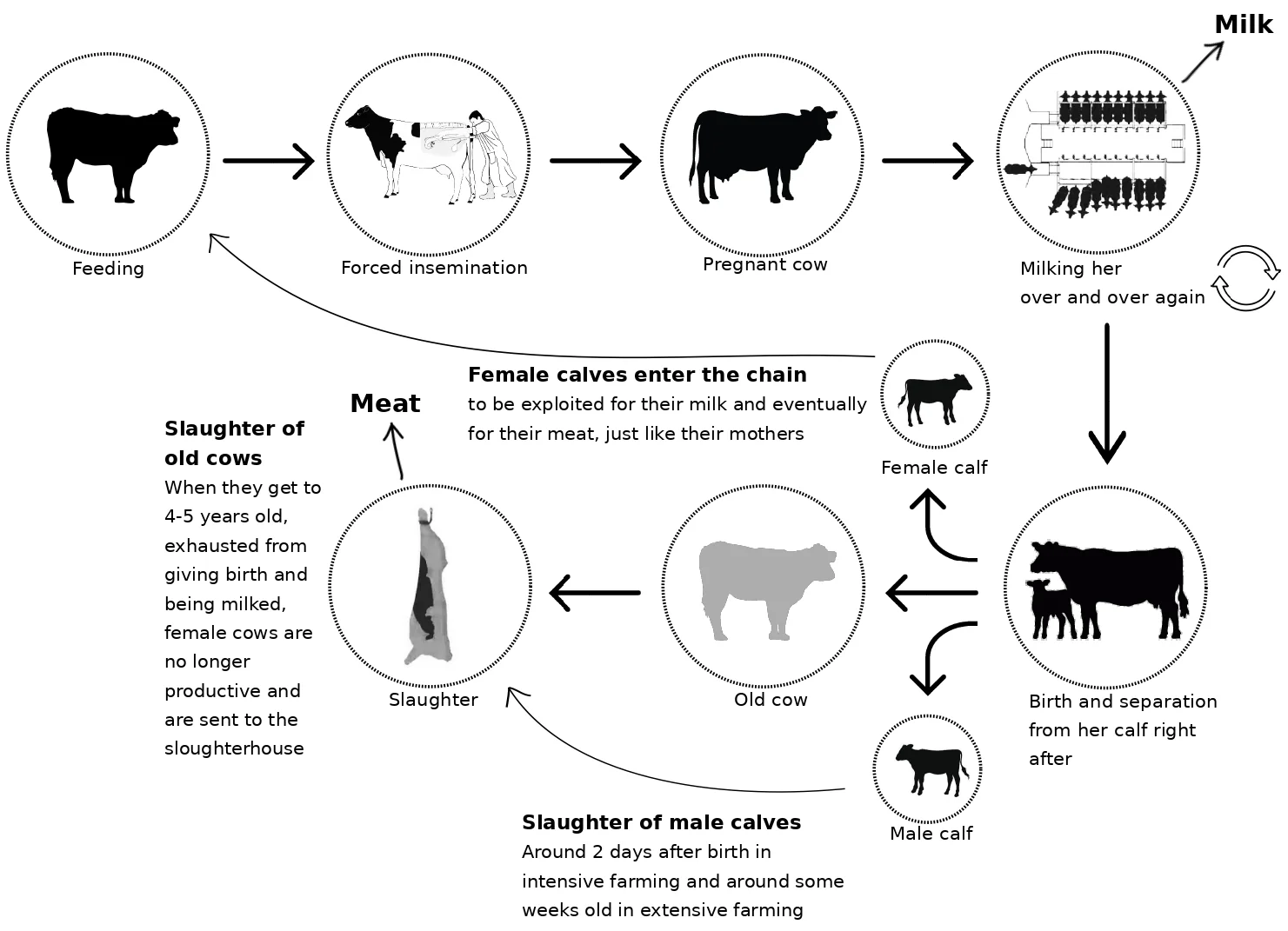 Diagram_eng IMG